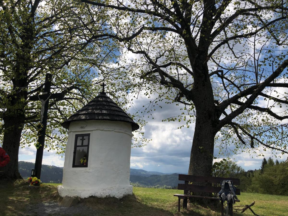 Horska Chalupa Pluskovjanka Velke Karlovice Bagian luar foto