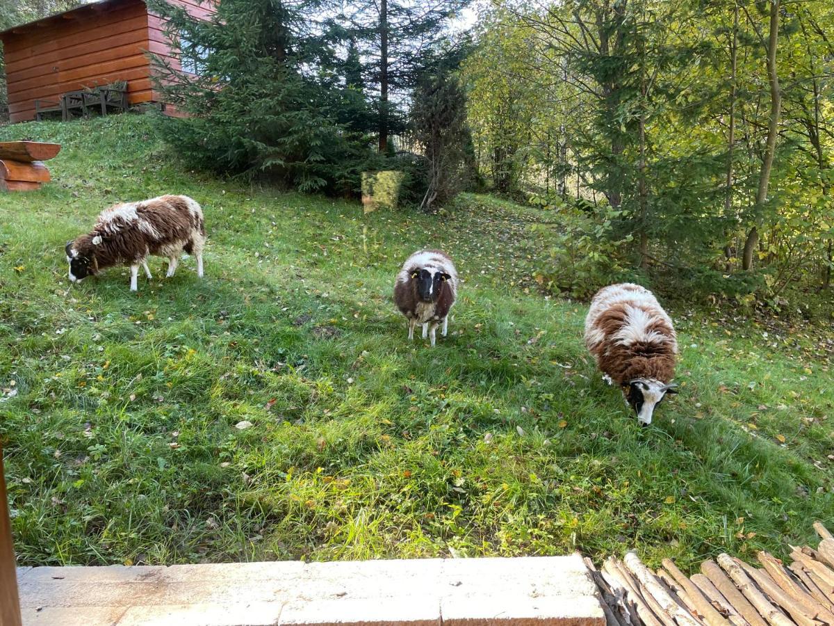 Horska Chalupa Pluskovjanka Velke Karlovice Bagian luar foto